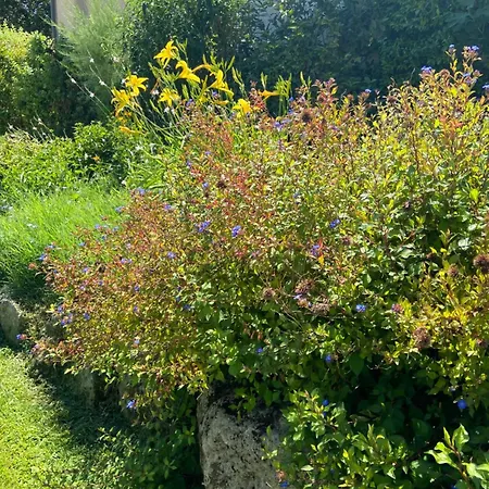 Paradis Provencal - Espace Detente Et Bbq Lmv * Carpentras